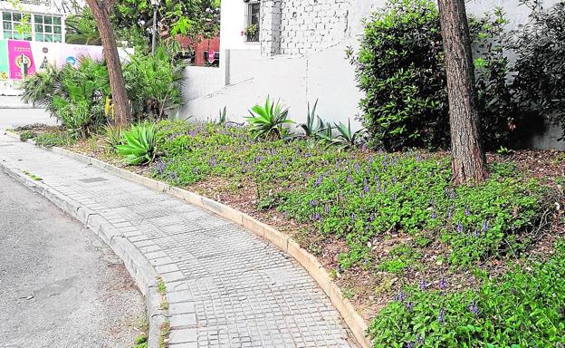 Calle Torre de San Telmo: piden más limpieza y mantenimiento