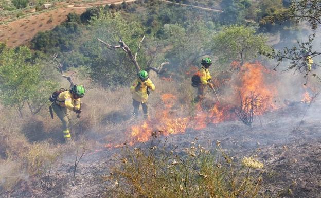 Extinguido el incendio agrícola en Guaro