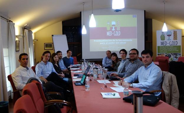 Dcoop participa en el diseño de una herramienta para predecir la evolución de la plaga de la mosca del olivo