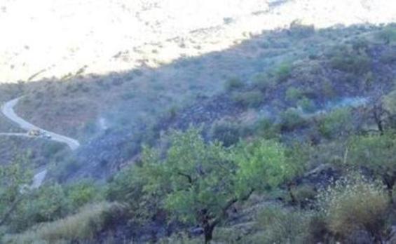 Un incendio en zona agrícola calcina 1,8 hectáreas entre Totalán y Olías