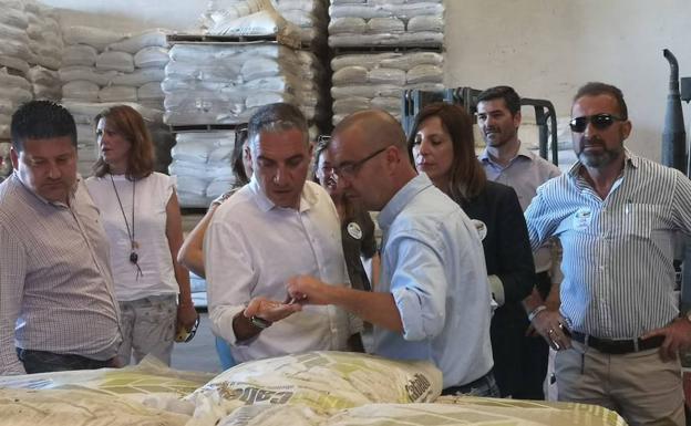 El PP reitera su apoyo para la puesta en valor de Acinipo