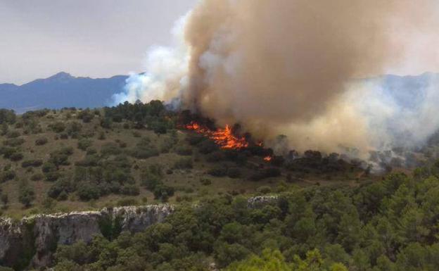 Medio Ambiente recuerda medidas para prevenir incendios