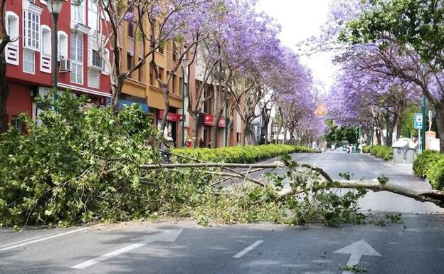 Málaga, en aviso amarillo este fin de semana por fuertes vientos