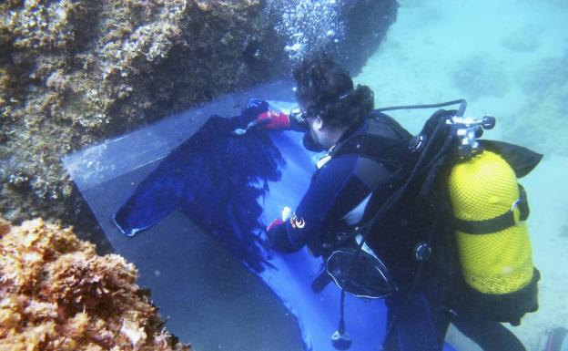 Arte que emerge del mar para concienciar