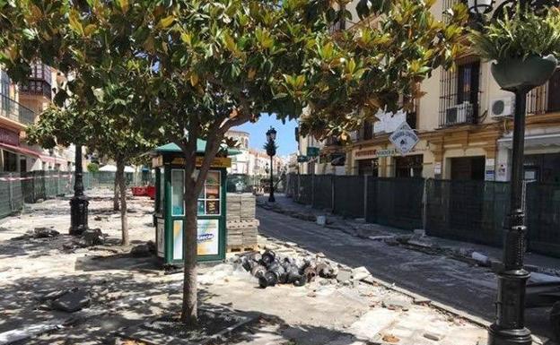 Vélez-Málaga paraliza la retirada de los magnolios del centro por la falta de fondos