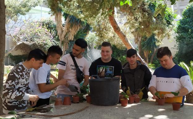 Casi el 20 por ciento de estudiantes de FP Básica consigue el título de Secundaria