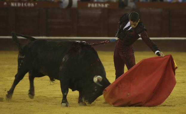 Manzanares hará doblete en la feria taurina de Málaga, donde estarán las principales figuras