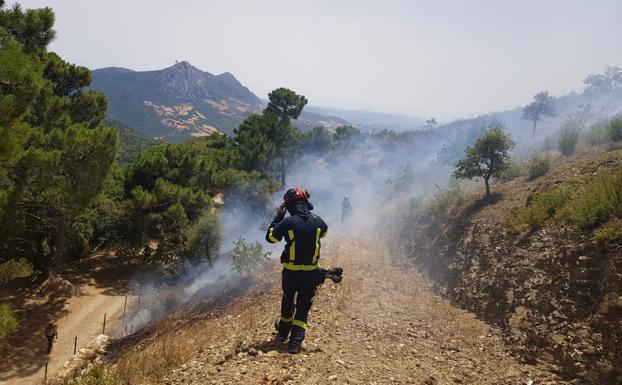Controlado un incendio forestal en Gaucín