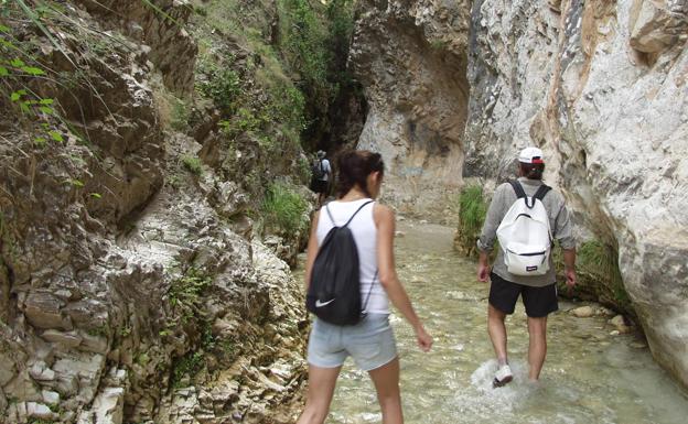 Así están los ríos malagueños este verano