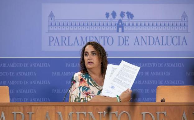 Adelante pide la declaración de la «emergencia climática» para la supervivencia de Andalucía