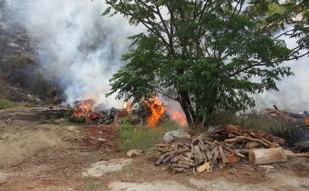 Investigan a dos trabajadores de una empresa de leña como presuntos autores del incendio forestal en El Higuerón