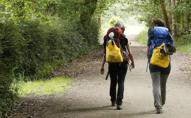 El Camino de Santiago se llena de bolsas amarillas