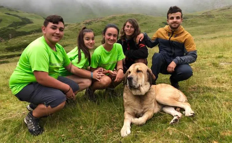 Cinco jóvenes malagueños que han superado el cáncer concluyen la 'Primera Aventura Trashumante entre Lobos y Mastines'