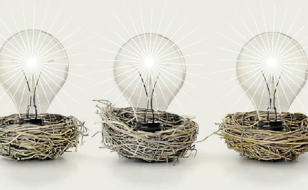 Málaga, un ecosistema para alumbrar empresas