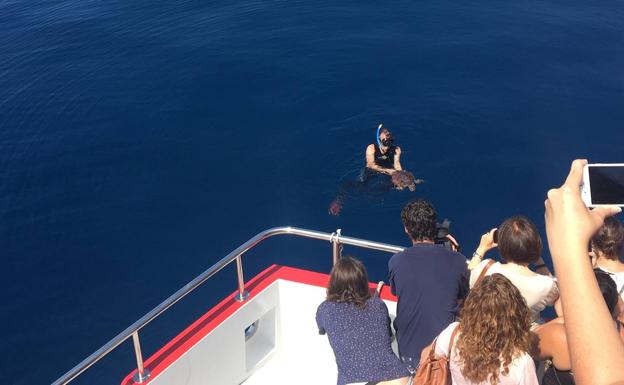 'Cacahuete' ya es una tortuga en libertad