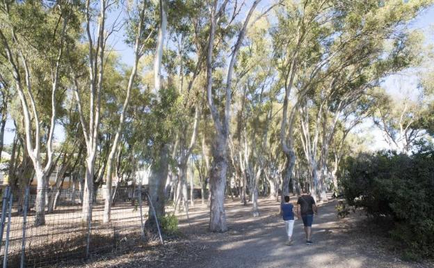 El Ayuntamiento ultima el concurso para el proyecto de los Baños del Carmen