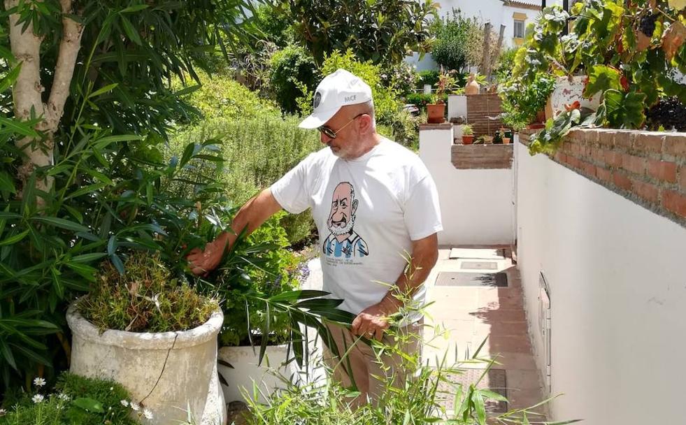 Oficios al sur: La poda veraniega