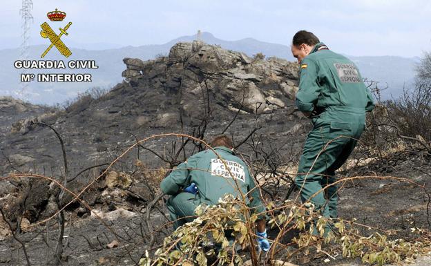 Detenidos 213 incendiarios en los primeros seis meses del año