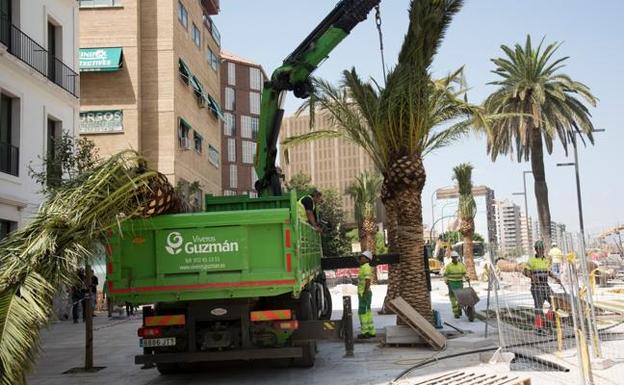 La Alameda Principal se prepara para su estreno con nuevas palmeras y sillas