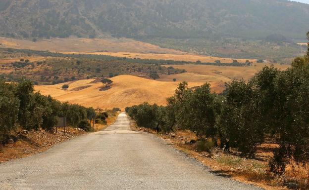 Diputación destina 500.000 euros a mejorar uno de los accesos a la Sierra de las Nieves