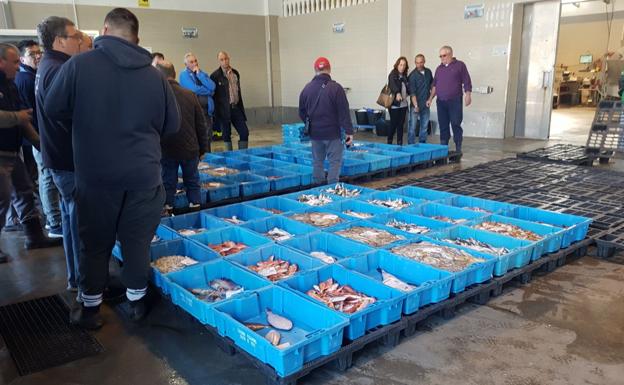 Doce especies salvan la facturación de la pesca en Málaga