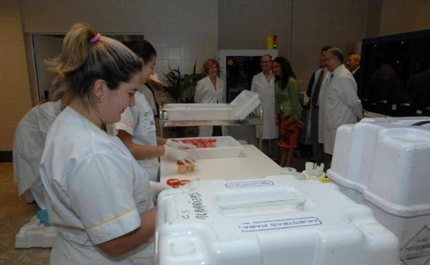 Un total de 65 donaciones de órganos permiten hacer 116 trasplantes hasta julio en Málaga