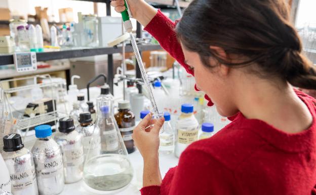 La UMA incrementa a 86 el número de becas colaboración para sus alumnos