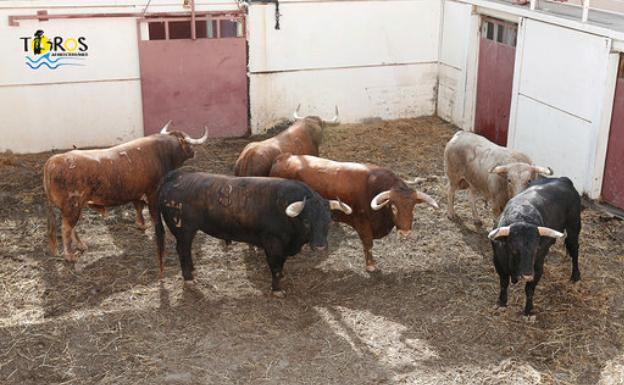 'Guachinango' abre la feria taurina de Málaga en la reinauguración de La Malagueta