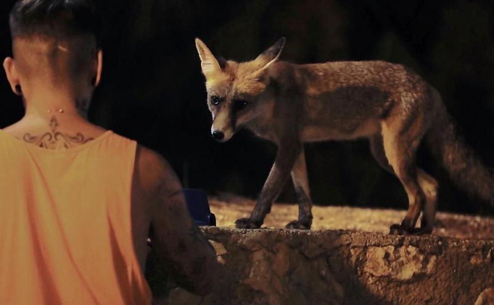 Micaela, la cliente fiel de un chiringuito de Alicante