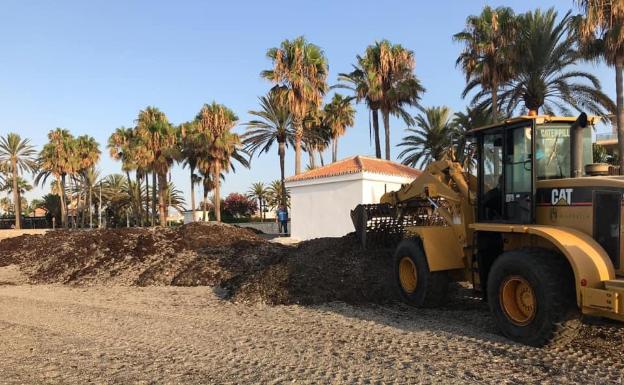 La plaga de alga asiática obliga a desplegar un servicio especial de limpieza en las playas de Marbella