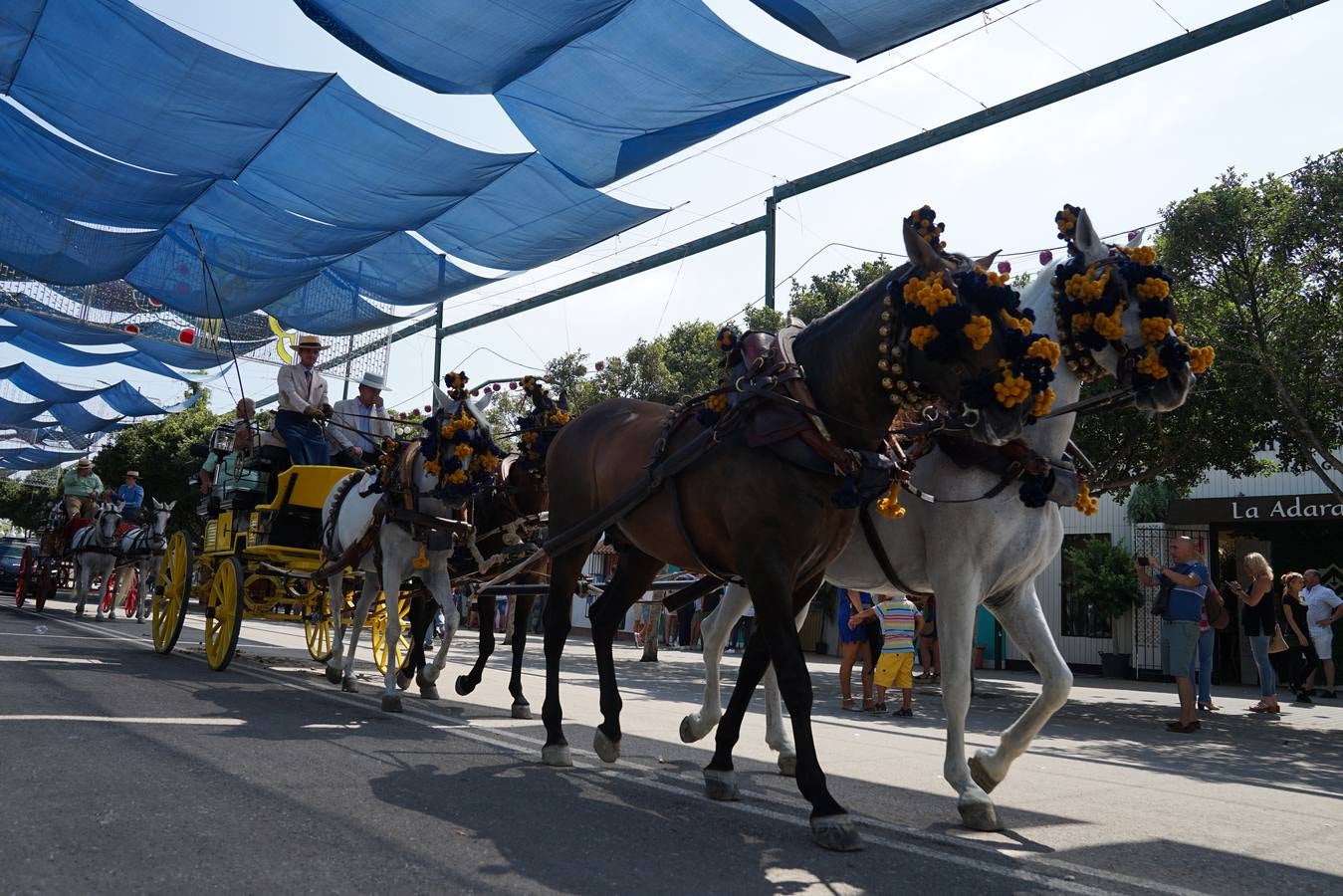 Gente de feria. Las fotos del miércoles en Real y Centro