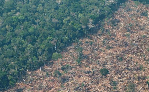 España ofrece ayuda a los países más afectados por los incendios que están asolando la Amazonía