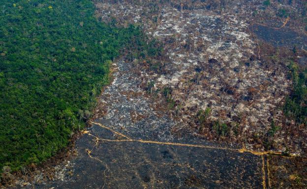 Diez preguntas para entender por qué debería importarte proteger el Amazonas