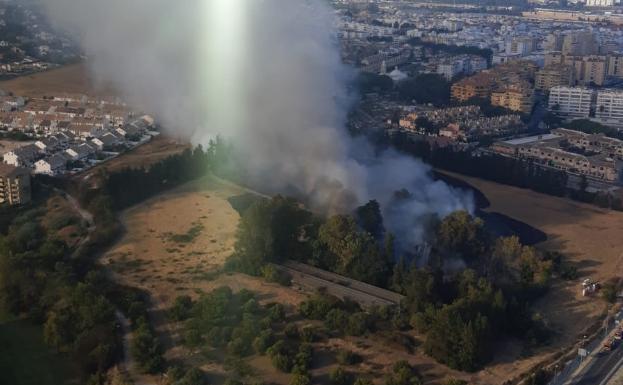 Estabilizado el incendio de San Pedro Alcántara, en la zona de Guadalmina