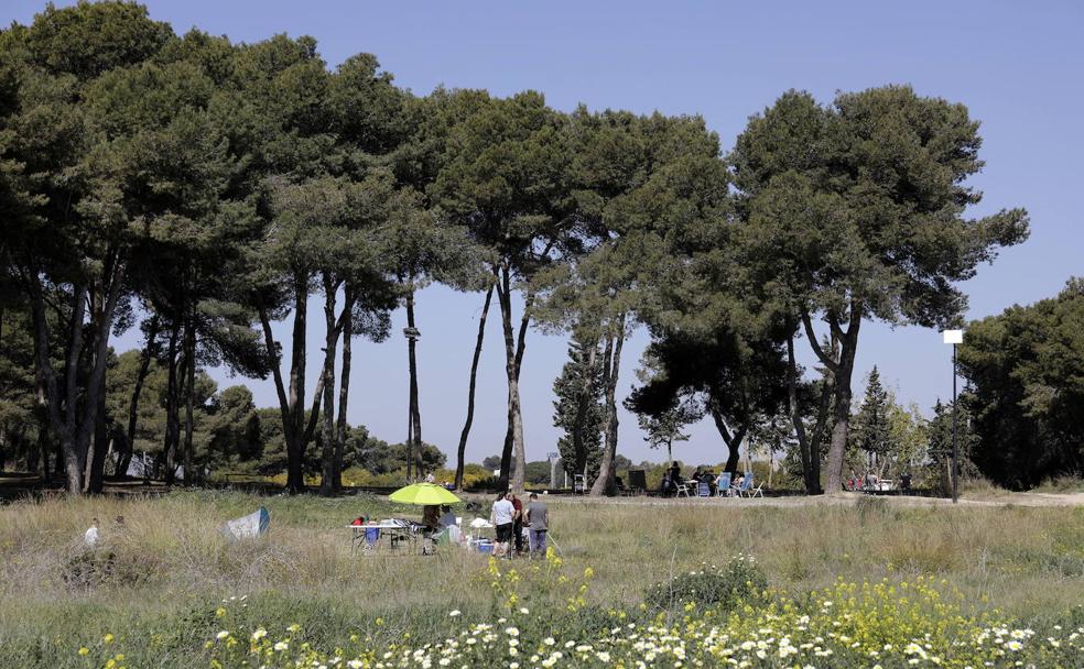 La mayoría de los grandes municipios de Málaga suspenden en zonas verdes