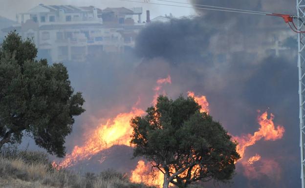 Detenida una mujer como presunta autora de los últimos tres incendios forestales registrados en Marbella