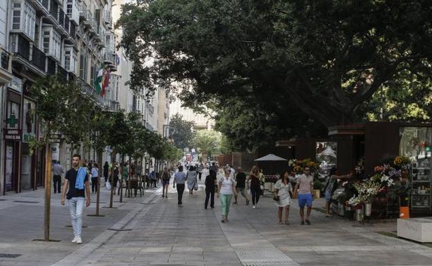 Una nueva Alameda para un Centro renovado