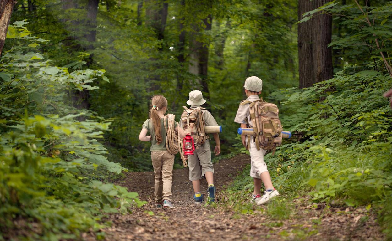 Dejar A Los Ninos Solos De Noche En El Bosque El Metodo Holandes Para Reforzar Su Autonomia Diario Sur