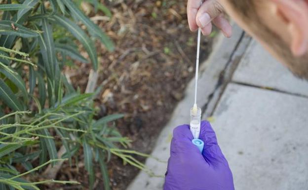 La Policía Local de Benalmádena comienza a indentificar las heces de perro en las calles