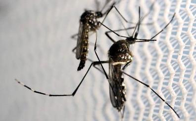 El dengue golpea Honduras con 80.000 casos en la peor epidemia del último medio siglo