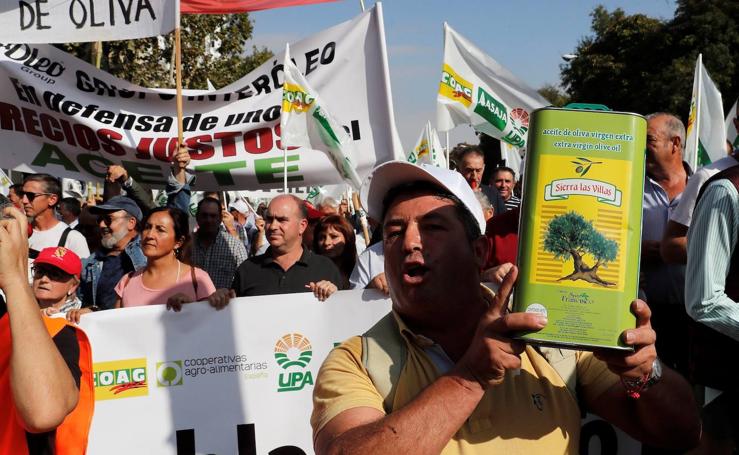 En imágenes, la manifestación celebrada este jueves en Madrid bajo el lema 'Precios justos para un olivar vivo'