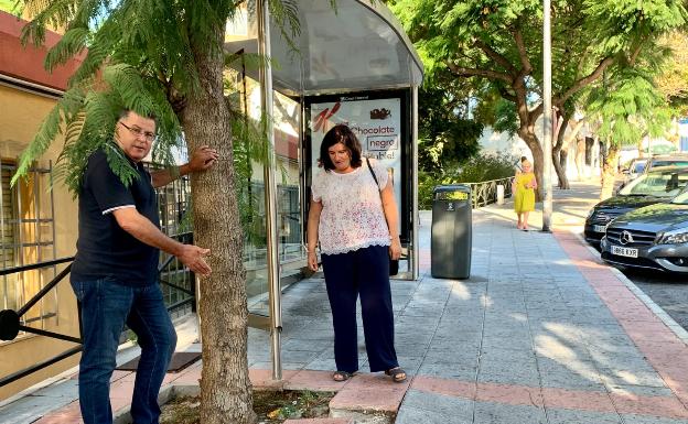El PSOE denuncia carencias de limpieza y asfaltado en la barriada de Puya