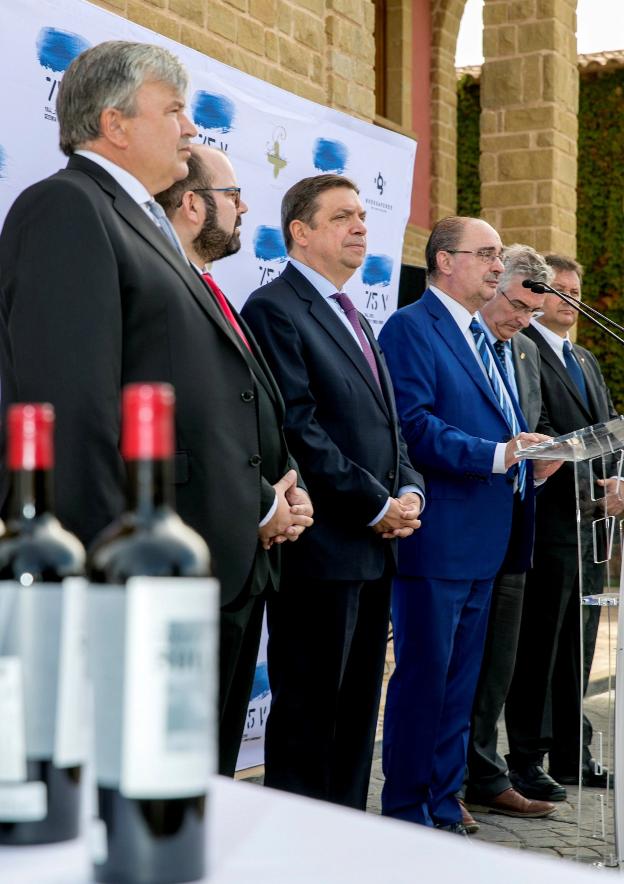 El sector del olivar respira tras autorizar la UE el almacenamiento privado de aceite