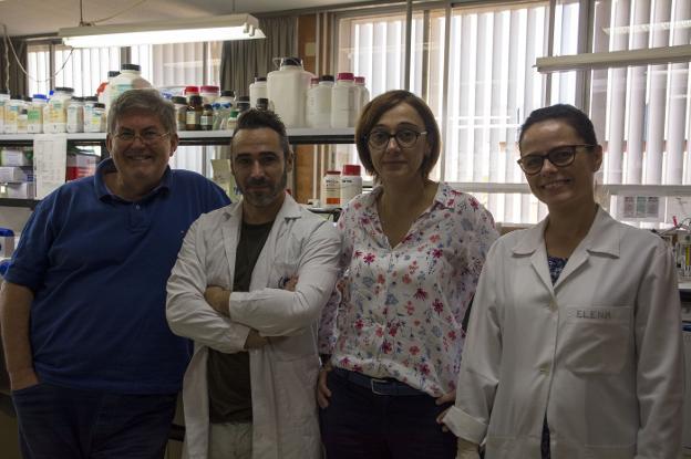 Docentes de la UMA hallan la clave para la supervivencia de las plantas a la sequía