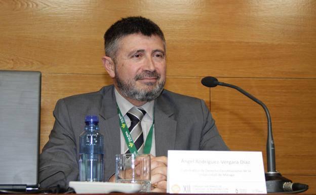 «Cataluña, Franco y la precrisis han motivado el voto a Vox en Málaga»
