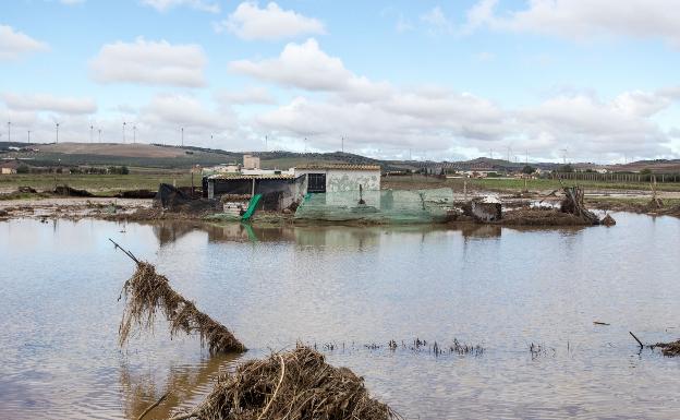 COAG celebra en Campillos una jornada sobre 'Protección de suelos y olivar ecológico'