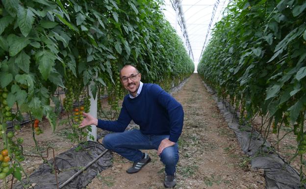 Frunet: El éxito que brotó dos veces
