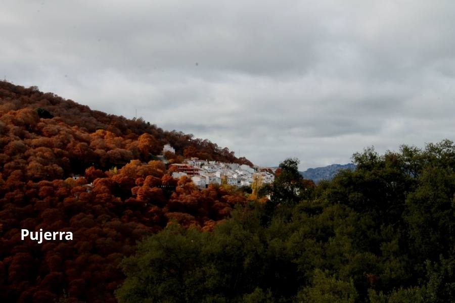 El intenso color otoñal de la Serranía de Ronda