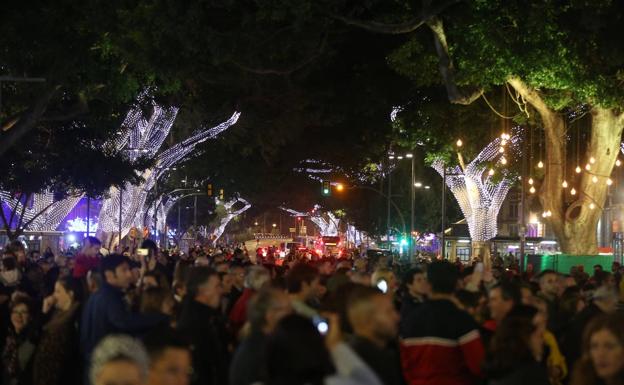 Vídeo | Los ficus centenarios, protagonistas en la Alameda