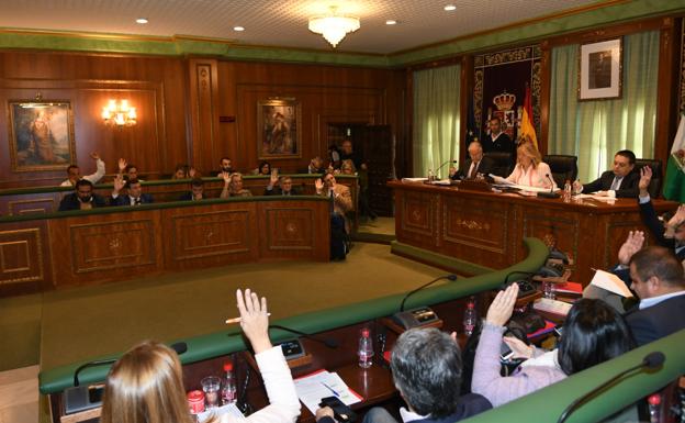 Marbella instará a la Junta a que impulse medidas para recuperar el vuelo Málaga-Nueva York